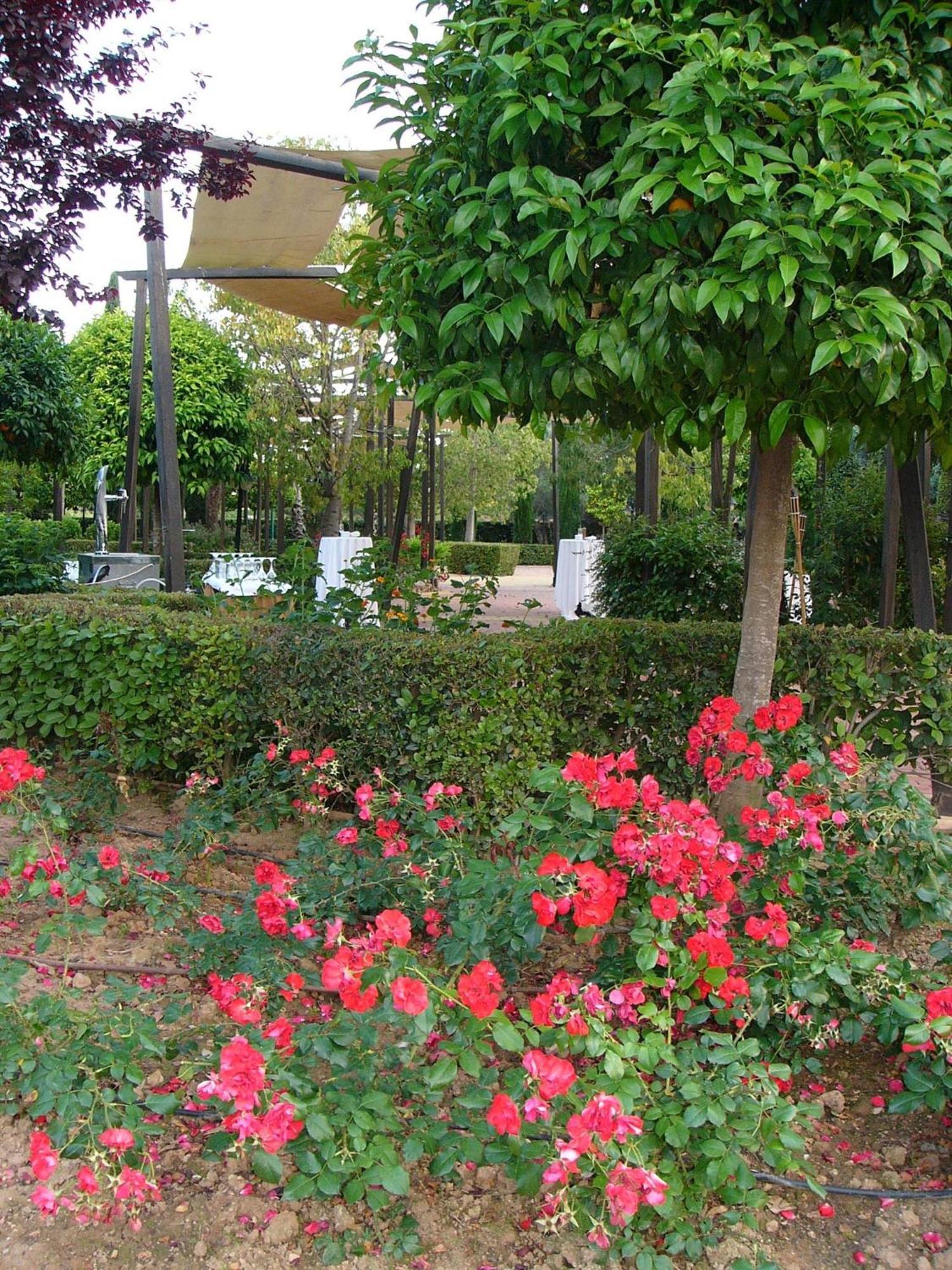 Hotel Ad Hoc Parque Golf 4*